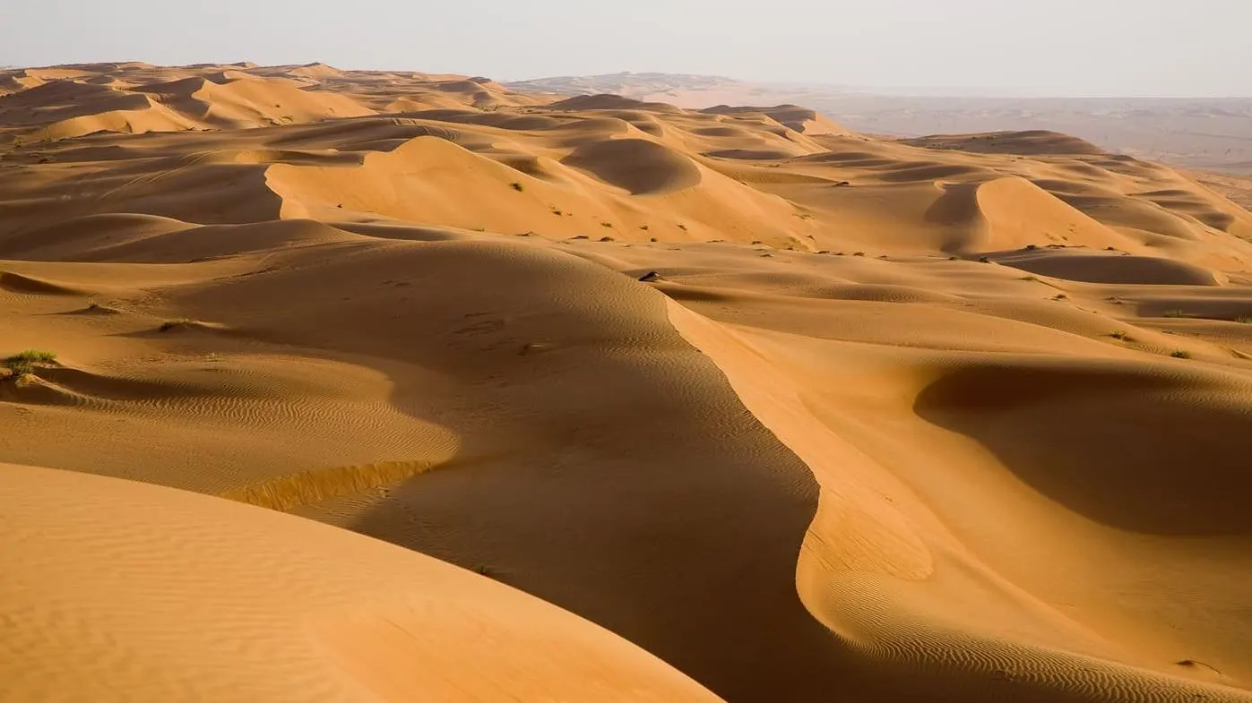 Camel, Great Sand Sea Egypt Travel booking